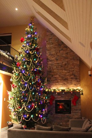 New Camera Dec2010 092